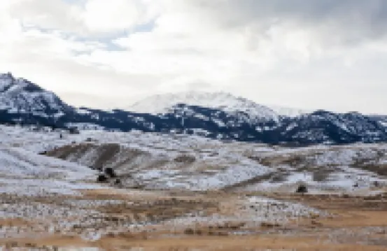 Cozy and Quiet Apt Style Cabin on the Yellowstone River