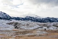 Cozy and Quiet Apt Style Cabin on the Yellowstone River