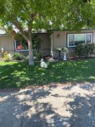 private suite 60 mins from Sequoias