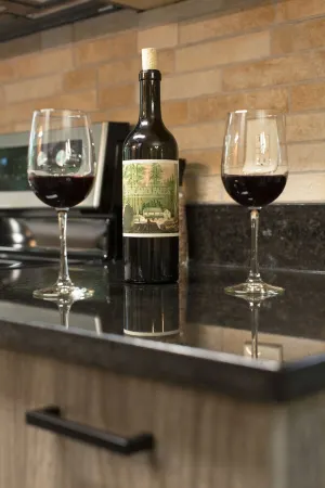 Come to Asheville! NEWLY REMODELED & Only 4 Mins to DT AVL, Dog Friendly, FP