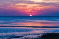 Charming Pet Friendly Cottage 1) in Downtown Port St Joe