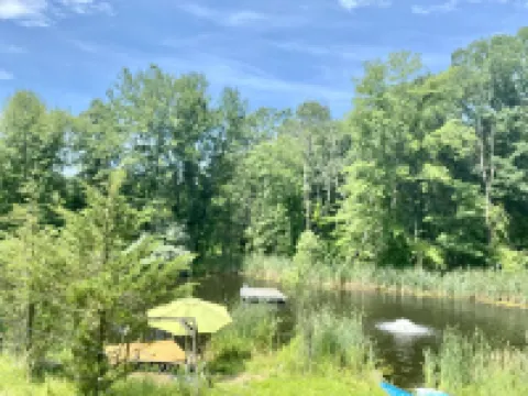 for the creative spirit, swimming dock on pond, horses to pet, Fire pit