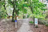 King Bed! Cozy Amelia Island Gem just steps to the beach.