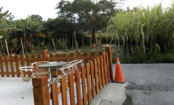 Pandora's Hostel