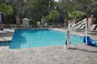 Hilton Garden Inn Tampa - Wesley Chapel - piscina