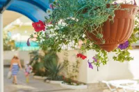 Ekodom Family Hotel