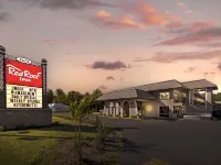 Red Roof Inn Kissimmee Hotels in Kissimmee