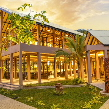 Oak Ray Wild Yala
