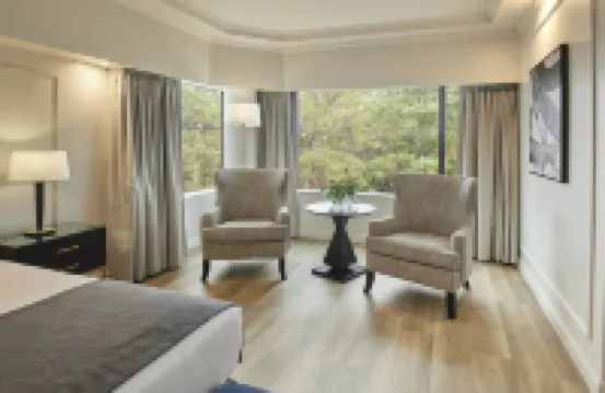 布宜諾斯艾利斯帝國酒店