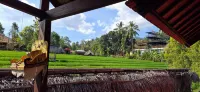 Uma Nirmala Aling-Aling - Posadas