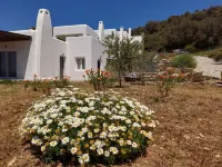 Skinammos Eco Villas - Huvilat