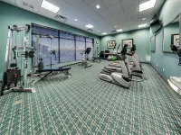 Holiday Inn & Suites EDMONTON ARPT - CONFERENCE CTR by IHG - Gym