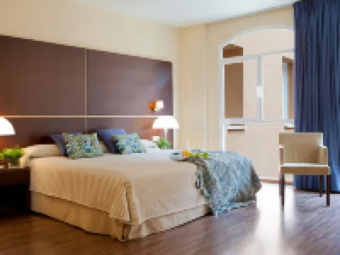 Rice Palacio de Los Blasones Hotels in Burgos