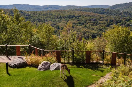 Equinoxe by Rendez-Vous Mont-Tremblant Отели рядом с достопримечательностью «Ski de fond Mont-Tremblant»