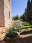 Riad Bini-Ddik