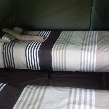 Bush Baby Calls Mobile Camps