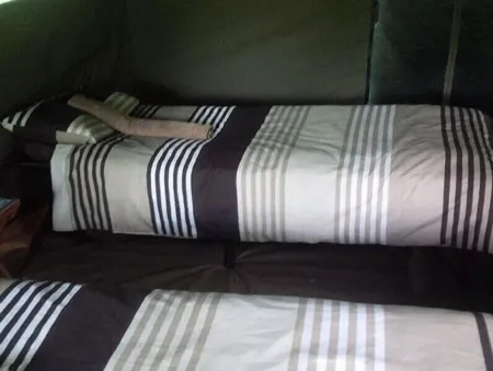 Bush Baby Calls Mobile Camps