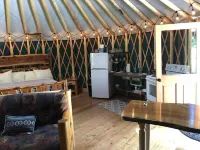 Blue yurt, out in the woods! Unplugged, you are out in nature away from it all.