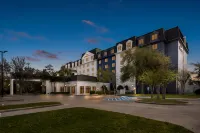 Hilton Garden Inn Houston NW/Willowbrook Hotels near Express