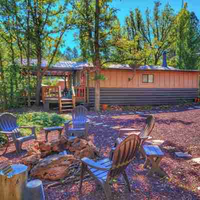 Creekside Retreat - Charming Cabin w/Deck, A/C, Firepit, & Billy Creek View Hotel Exterior
