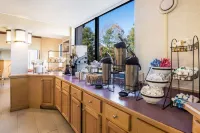 Econo Lodge Hotels in Mountain Home