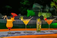 Hotel Mountain Paradise - bar