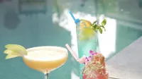 The Verda de Miranda Resort Morjim North Goa - bar