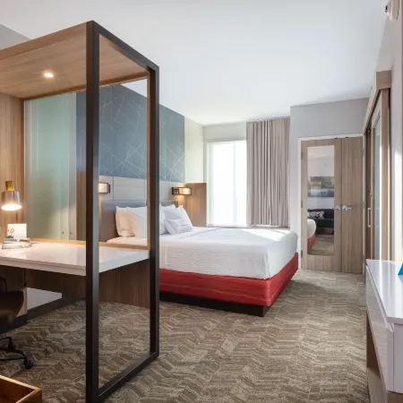 SpringHill Suites Chattanooga South/Ringgold, GA Отели в г. Катуса