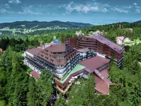 Alpin Resort Hotel Hotels near Stadion