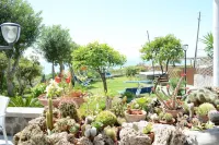 Hotel Maronti Hotels in Barano d'Ischia