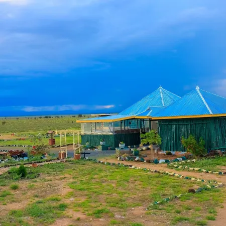 Amanya 1 -Bed King Lion Tent