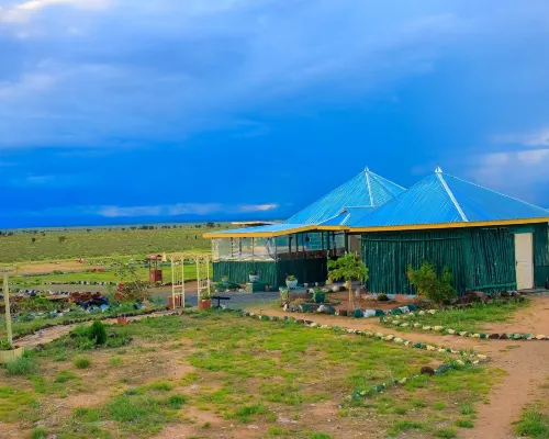 Amanya 1 -Bed King Lion Tent Hotels in Entonet