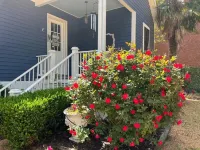 The Beaumont House Natchez