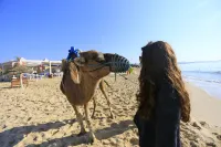 Hammamet Garden Resort and Spa - Strand