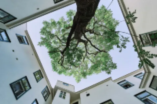 アートホテル ANA ヴェストバーン