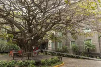 Studio Hotel Boutique Hotel a San Jose