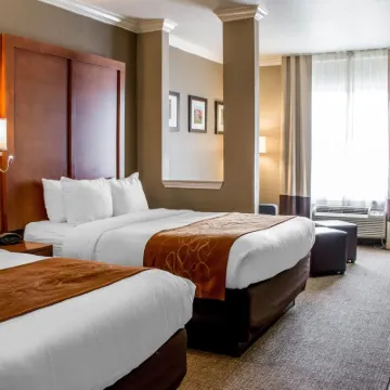 Comfort Suites Hotels near Wurstfest German- Texan Festival