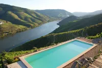 Quinta da Veiga - Yüzme Havuzu