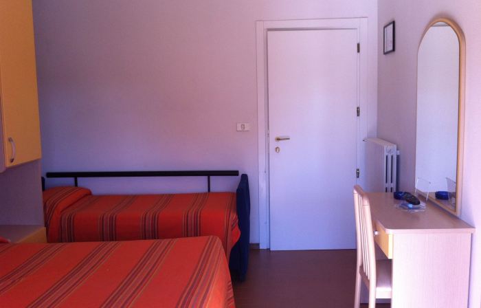 Hotel Viking