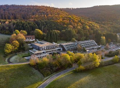Collegium Glashütten Zentrum für Kommunikation GmbH
