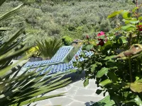 The Garden Hotels in Ponzo