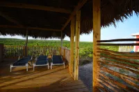 The Ocean Dream Beach Resort Hotels in Smith Town