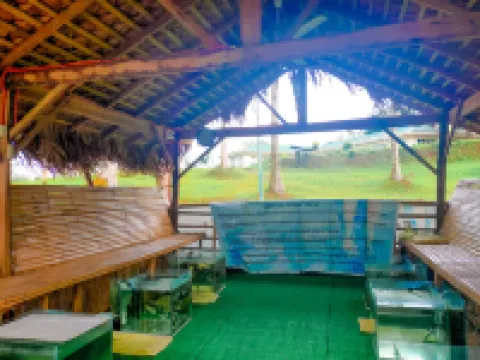 Caliraya Ecoville Recreation and Farm Resort Hoteles en Lumban