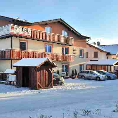 Aplend Vila Júlia - Tatry Card V Cene Hotel Exterior