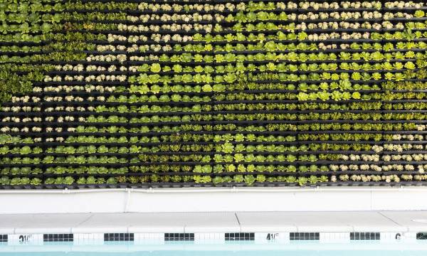 Short Stories Hotel