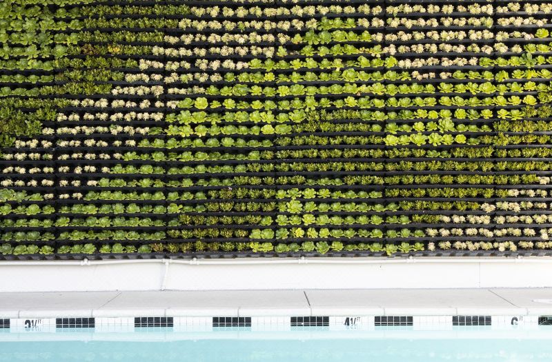 Short Stories Hotel