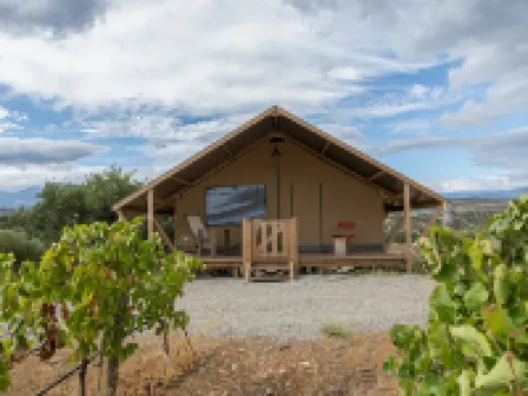 Castello di Serragiumenta Hotel a Altomonte