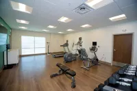 Holiday Inn Express & Suites MCKINNEY - FRISCO EAST by IHG - Træningscentre