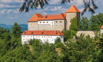 Rooms & Apartments Podsreda Castle