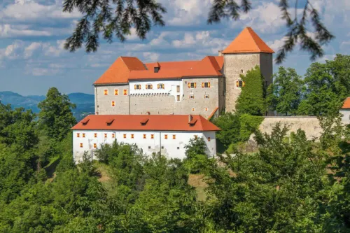 Rooms & Apartments Podsreda Castle Hotels in Brezice